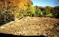 LAND CLEARING