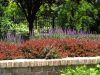 Landscape Architecture 9